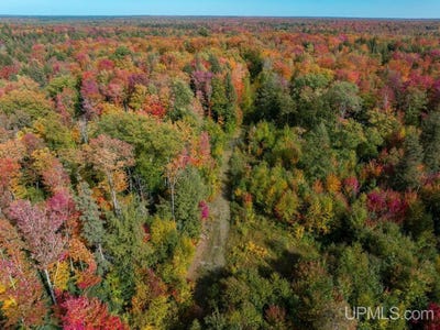 /international/us/316-acres-us-141-highway-covington-mi-110110327143/