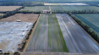 /international/us/832-co-rd-110-bunnell-fl-110105725863/