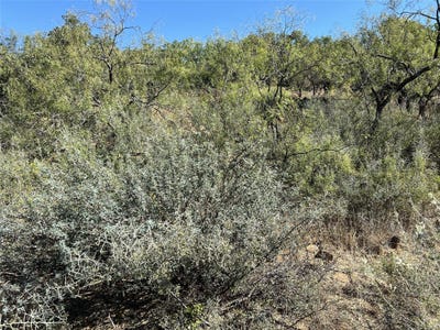 /international/us/live-oak-drive-may-tx-110102757369/