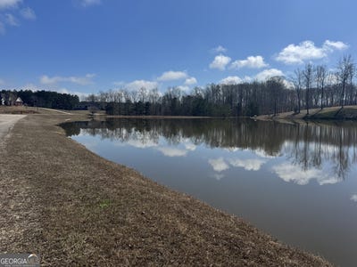 /international/us/mary-drive-lot-13-roanoke-al-110106125979/