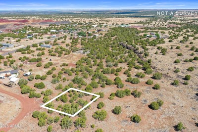 /international/us/8798-robbins-place-show-low-az-110101463542/