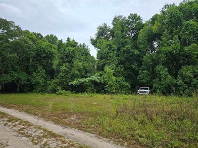 /international/us/se-140th-terrace-ocklawaha-fl-110107376131/