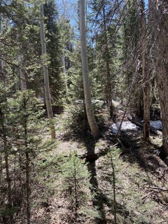 /international/us/433-juniper-road-cimarron-co-110095590071/