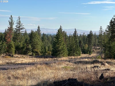 /international/us/piper-ln-goldendale-wa-110105637288/