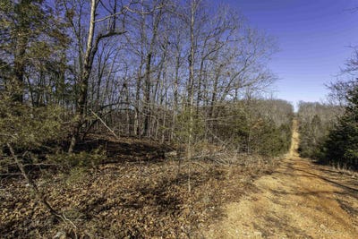 /international/us/buck-ridge-lane-williford-ar-110105046346/