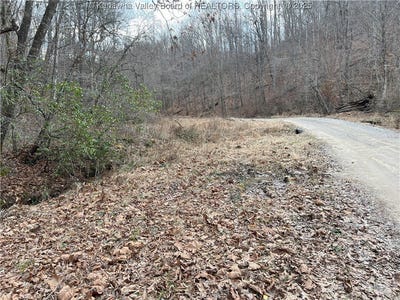 /international/us/rt-64-upton-creek-road-spurlockville-wv-110101806603/