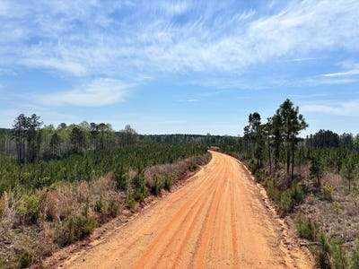 /international/us/cr-421-quitman-ms-110107004501/