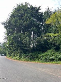 /international/us/300-sw-dolores-drive-waldport-or-110104908334/