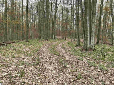 /international/us/20-acres-zimmerman-road-rapid-city-mi-110107909340/