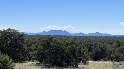 /international/us/solano-rd-pie-town-nm-110108331554/