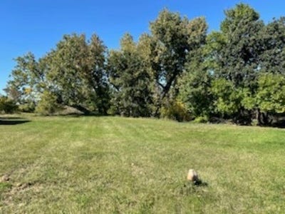/international/us/lot-20-block-1-birnam-wood-lane-belle-fourche-sd-110087569290/