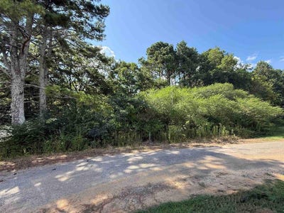 /international/us/0-co-rd-1038-vinemont-al-110101490650/