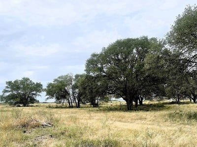 /international/us/tbd-l-c-r-217-hallettsville-tx-110105113303/