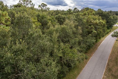 /international/us/interlachen-drive-mount-plymouth-fl-110102985601/