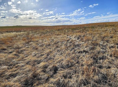 /international/us/tbd-road-1w-bushnell-ne-110100241177/