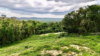 /international/us/bo-cidral-pr-450-san-sebastian-pr-110104610293/