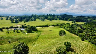 /international/us/douglas-dam-rd-kodak-tn-110101295231/?lang=en