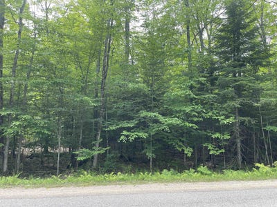 /international/us/parcel-a-w-smith-lake-manistique-mi-110100501298/