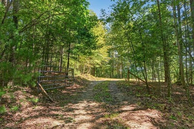 /international/us/forest-green-dr-lot-1-galax-va-110110372985/