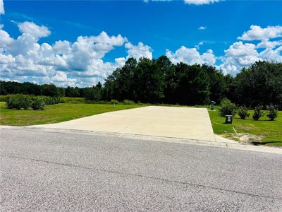 /international/us/4813-se-92nd-boulevard-webster-fl-110102563774/
