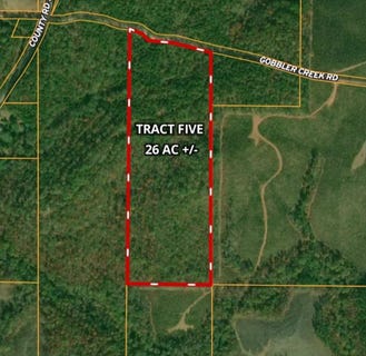 /international/us/tract-5-gobbler-creek-road-wedowee-al-110100623478/