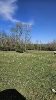 /international/us/1075-county-road-417-rector-ar-110103649963/