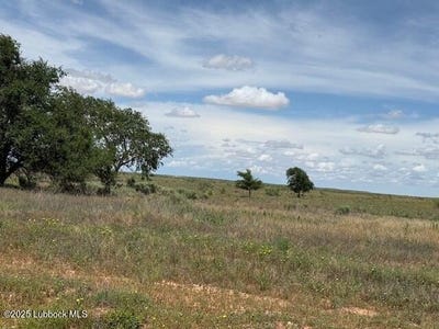 /international/us/0-s-cr-525-brownfield-tx-110100078850/