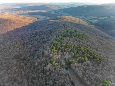 /international/us/1150-pleasant-grove-road-woodville-al-110090420771/?lang=zh-cn