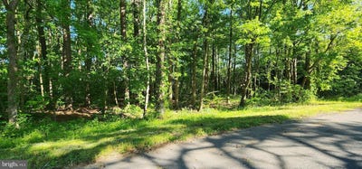 /international/us/lot-4-keep-snow-hill-md-110107870036/
