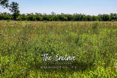 /international/us/00000-flat-prairie-road-washington-tx-110108847711/