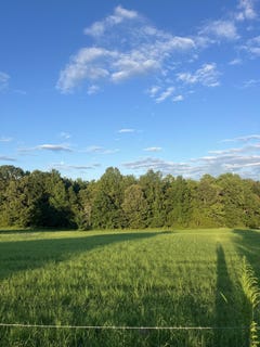 /international/us/1480-bruce-rd-e-whiteville-tn-110101294741/