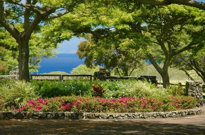 /international/us/56-113-pualani-road-hawi-hi-110094971136/