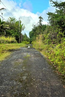 /international/us/road-3-hopue-mountain-view-hi-110106310130/