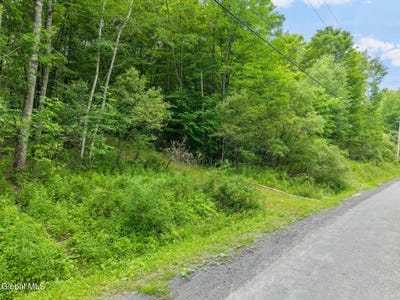 /international/us/441-dodge-lodge-road-richmondville-ny-110109183363/