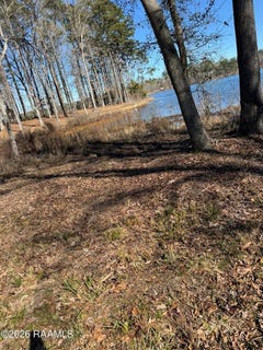 /international/us/lot-3-ramsey-road-chatham-la-110106671243/