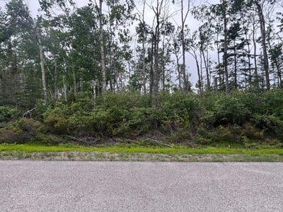 /international/us/pine-st-lot-92-presque-isle-mi-110100511143/