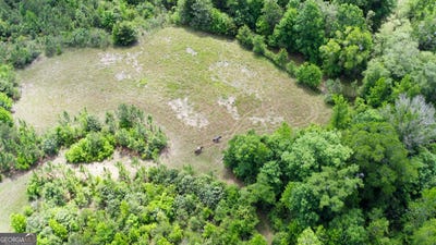 /international/us/county-road-231-abbeville-al-110107784266/