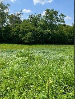 /international/us/128-oak-view-drive-mt-sterling-ky-110095808559/