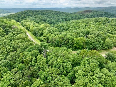 /international/us/hwy-16-pettigrew-ar-110108354049/