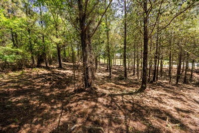 /international/us/burntfields-rd-fulton-ms-110107892321/
