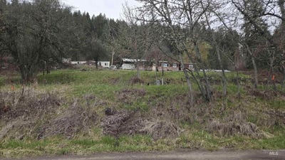 /international/us/tbd-pine-st-blk-43-lot-2-peck-id-110091838715/?lang=zh-tw