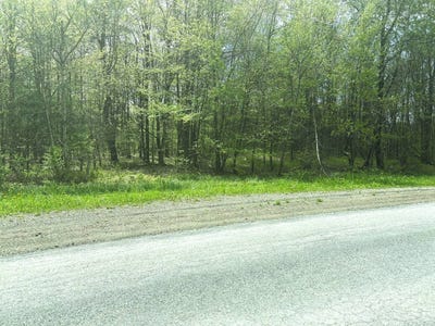 /international/us/0-appaloosa-trl-walton-ny-110100948117/?lang=zh-tw