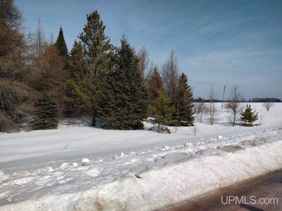 /international/us/e-80-acres-river-road-manistique-mi-110106204640/