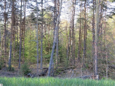 /international/us/25-hollowbrook-drive-kingsley-mi-110094240782/?lang=zh-cn
