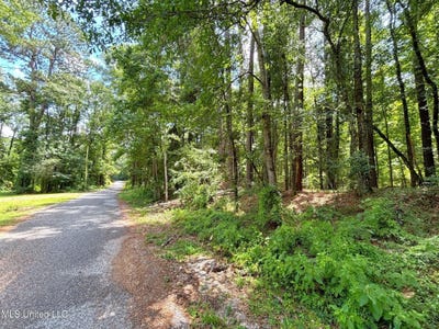 /international/us/se-freeman-road-summit-ms-110104542162/