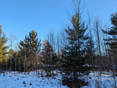/international/us/jussi-street-kaleva-mi-110105635009/