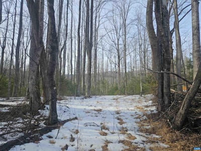 /international/us/tbd-lot-56g-turkey-ridge-rd-lot-56g-stanardsville-va-110105736349/