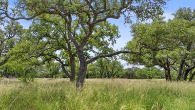 /international/us/997-sandy-oaks-ranch-road-johnson-city-tx-110100193646/