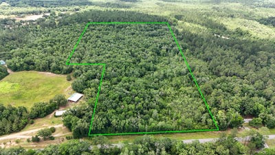 /international/us/tbd-douglas-ferry-road-caryville-fl-110099985804/