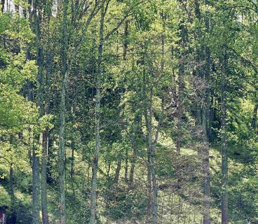 /international/us/crystal-lake-lot-99-west-union-wv-110107627224/